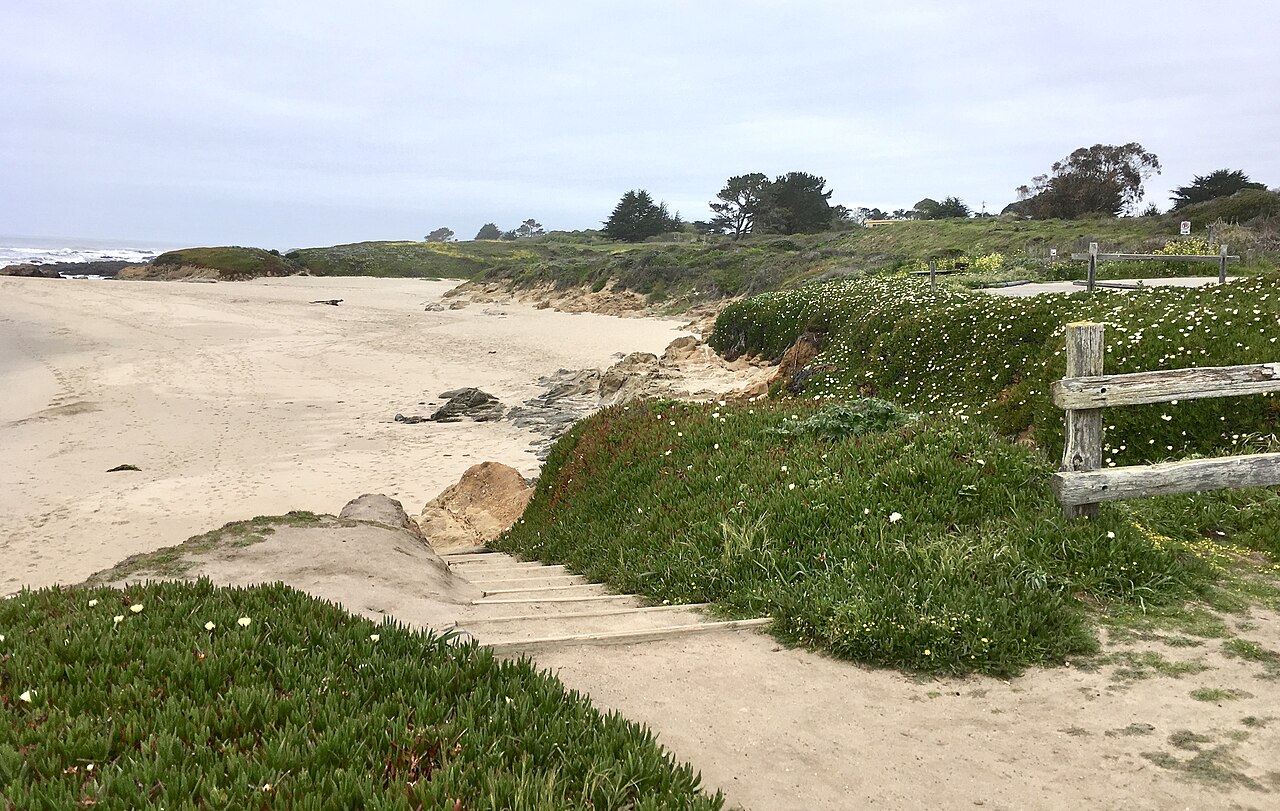 Bean Hollow State Beach Bean Hollow State Beach - Sandy beach with coastal vegetation