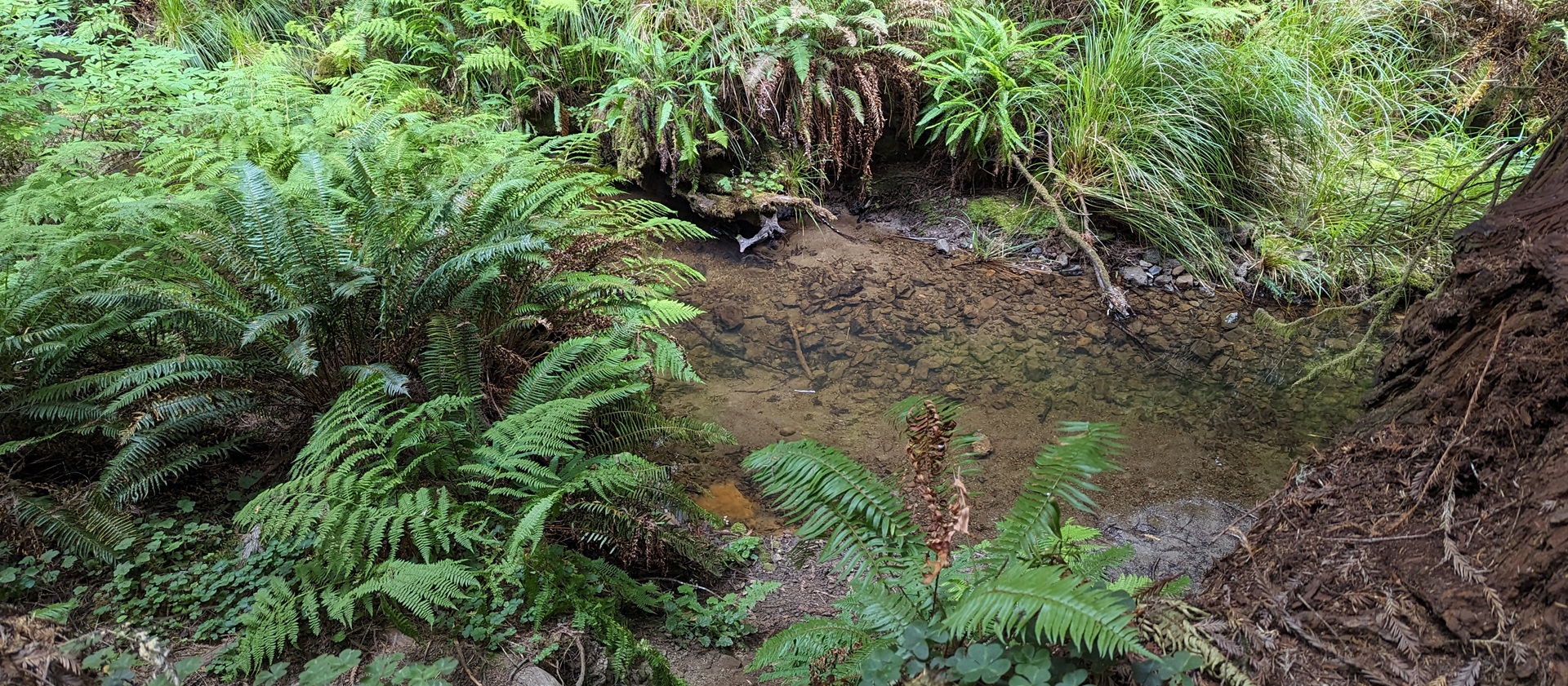 Russian Gulch State Park Russian Gulch State Park